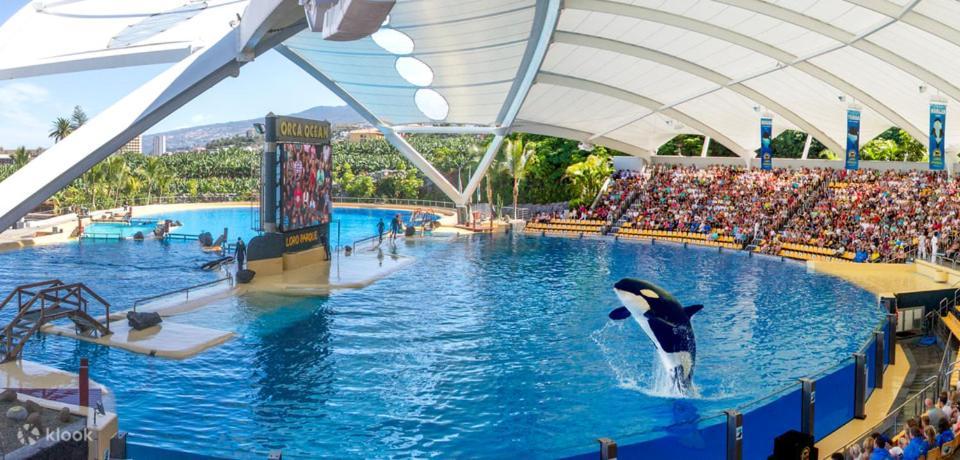 Casa Bonita Διαμέρισμα Πουέρτο Ντε Λα Κρουζ Εξωτερικό φωτογραφία